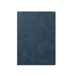a5 pu leather notebook with spiral binding (复制)